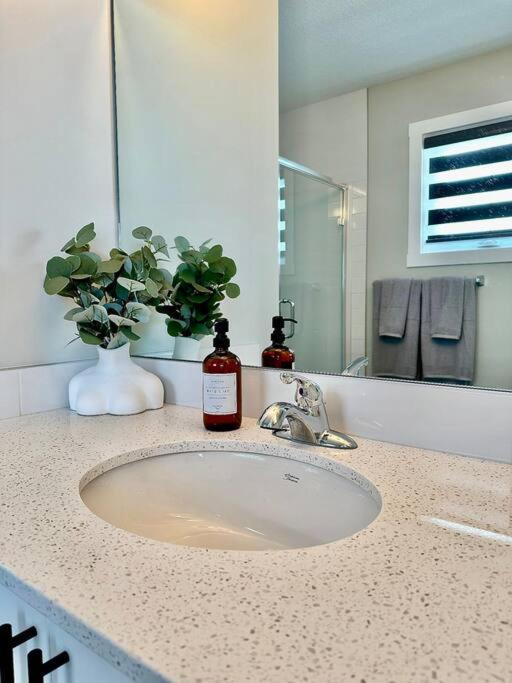 Edith Green Duplex YYC 외부 사진
